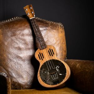 Ukulélés Traditionnel Resonator