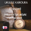 Ukulele Melopee - Commande sur mesure / Custom order