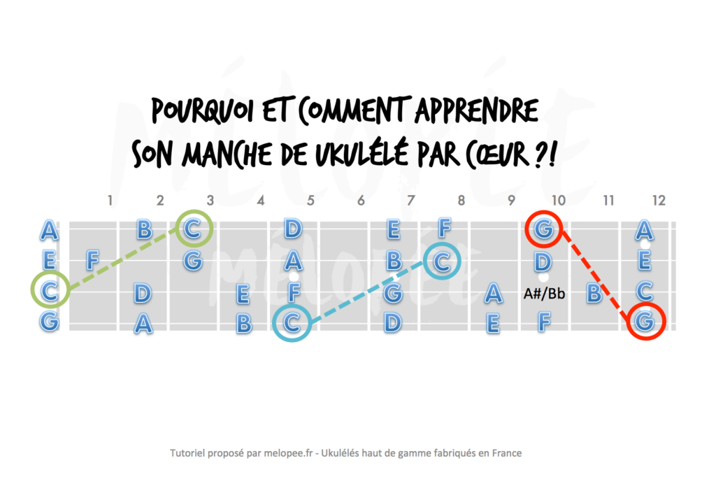 notes sur le manche ukulélé