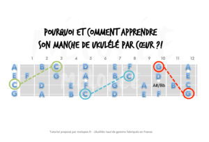 notes sur le manche ukulélé