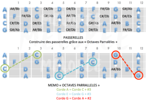 notes sur le manche ukulélé