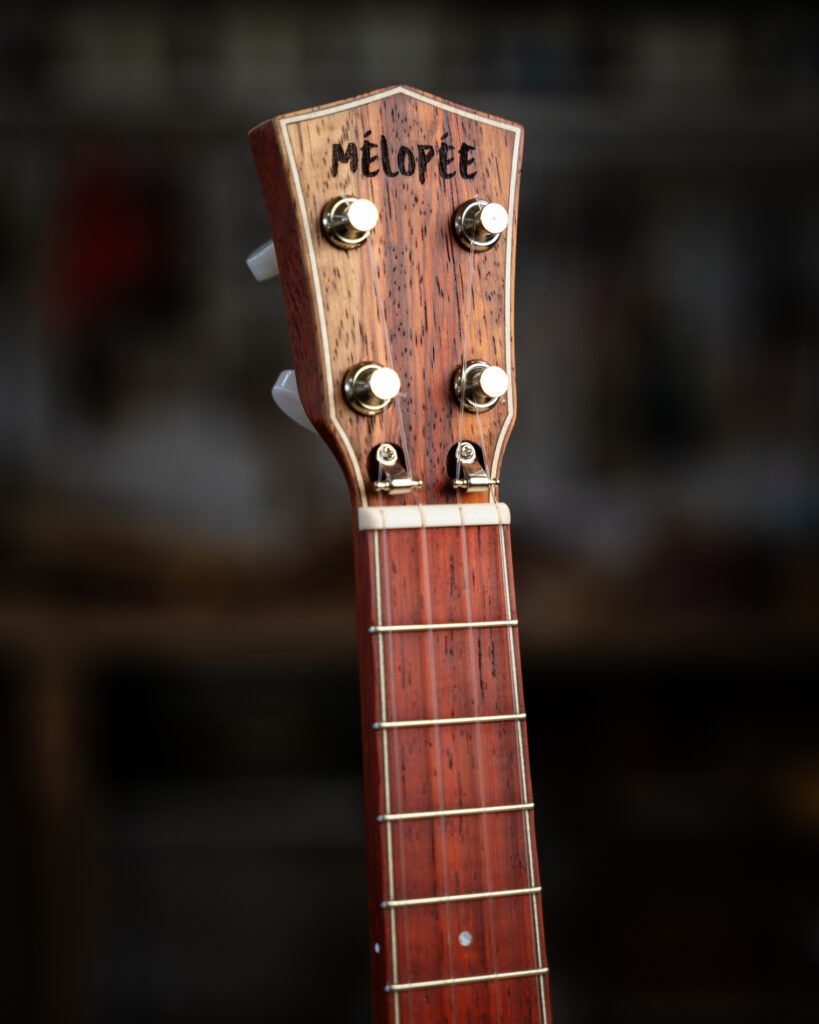 Ukulélé Mélopée Kaïkoura
RESONATOR DELUXE Padouk (fabriqué pour Mathias Malzieu - Dionysos)