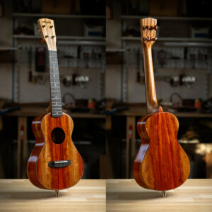 Ukulélé Mélopée Traditionnel Concert SBUK302