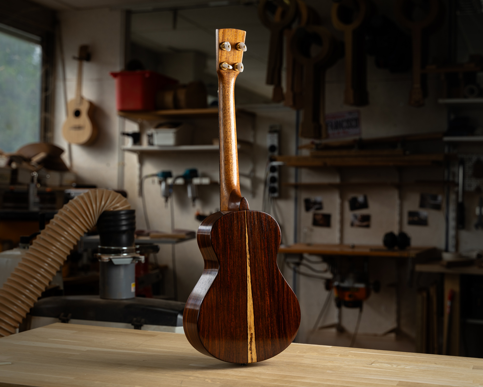 SBUK312 Ukulélé Mélopée Traditionnel Tenor Epicéa Cocobolo WEB-10