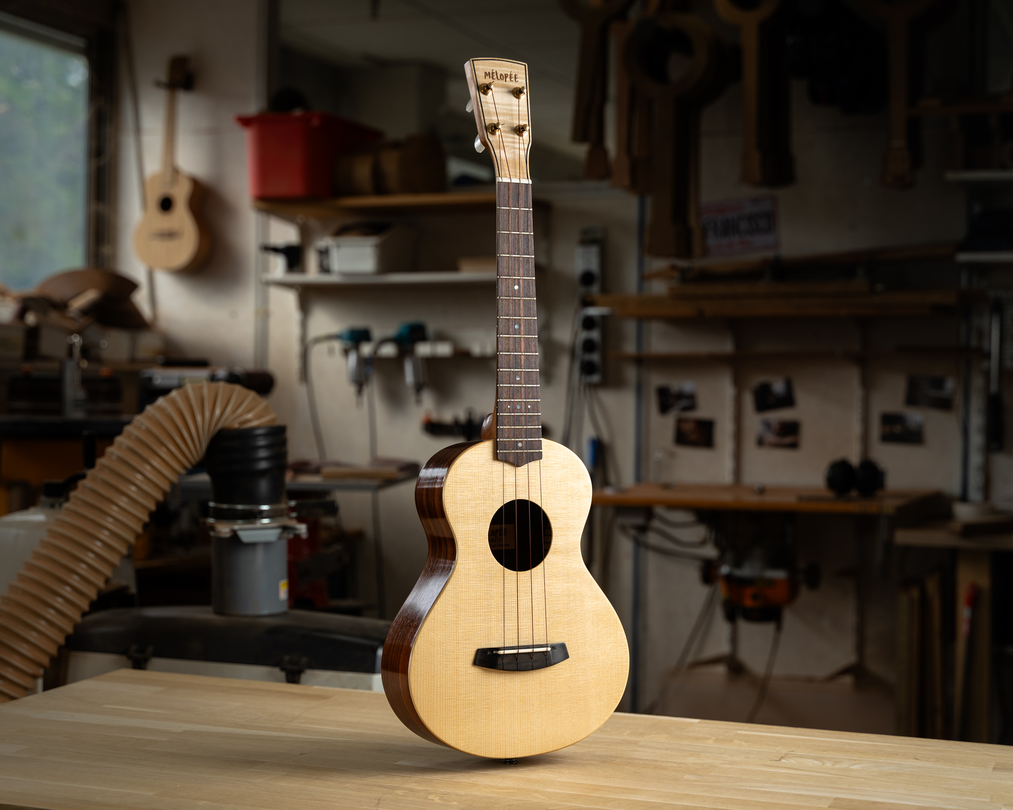 SBUK312 Ukulélé Mélopée Traditionnel Tenor Epicéa Cocobolo WEB-9